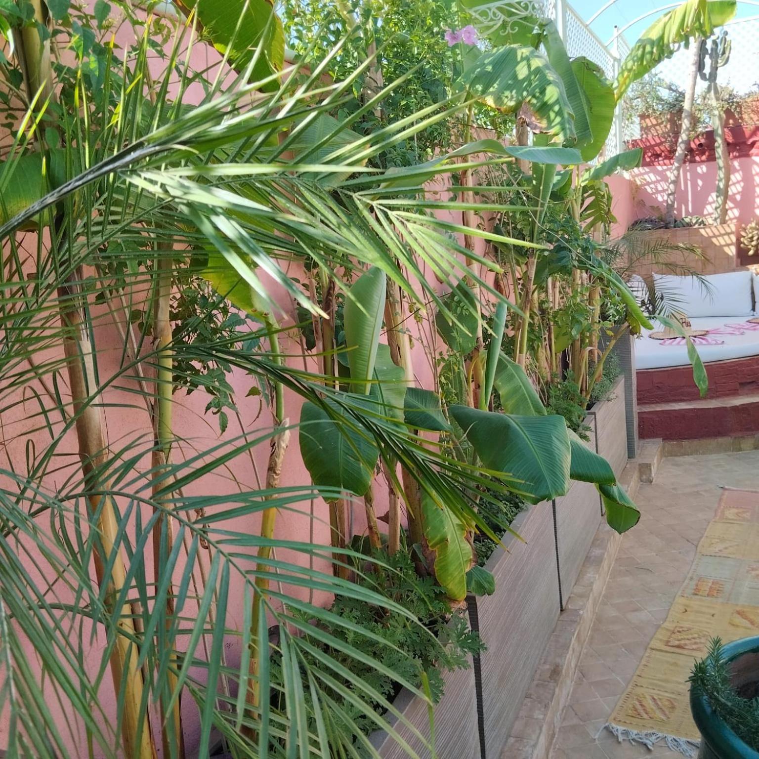 Riad Laith (Adults Only) Marrakesh Exterior photo