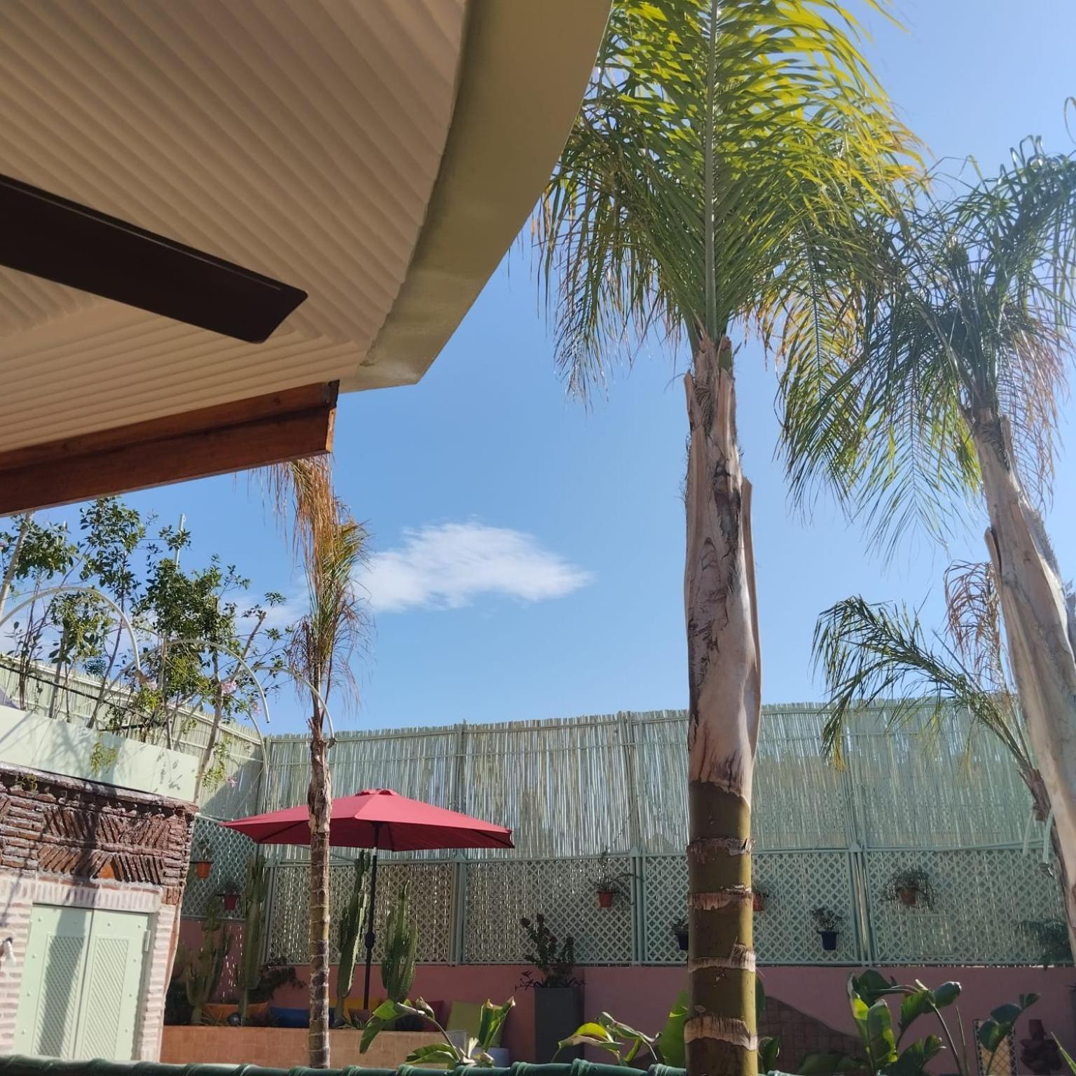 Riad Laith (Adults Only) Marrakesh Exterior photo