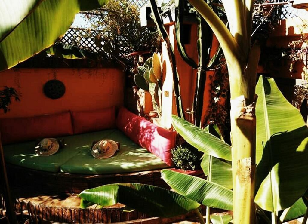 Riad Laith (Adults Only) Marrakesh Exterior photo