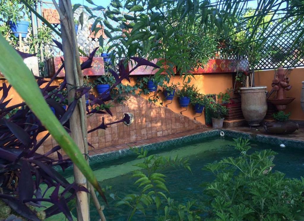 Riad Laith (Adults Only) Marrakesh Exterior photo